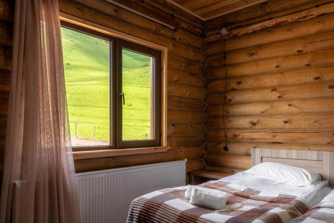 Snow Time Eco Chalet Gudauri Exterior photo